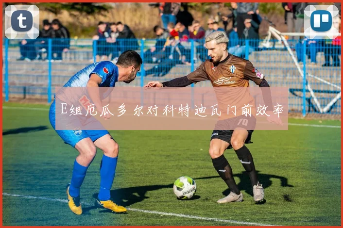 E组厄瓜多尔对科特迪瓦门前效率