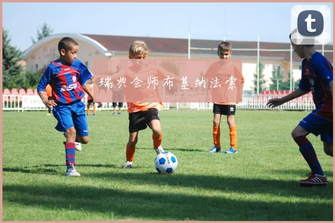 瑞典会师布基纳法索