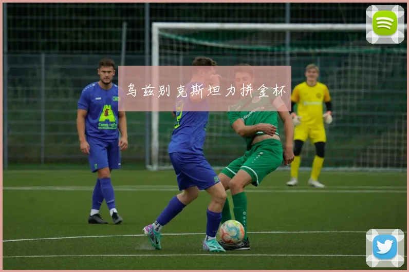 乌兹别克斯坦力拼金杯
