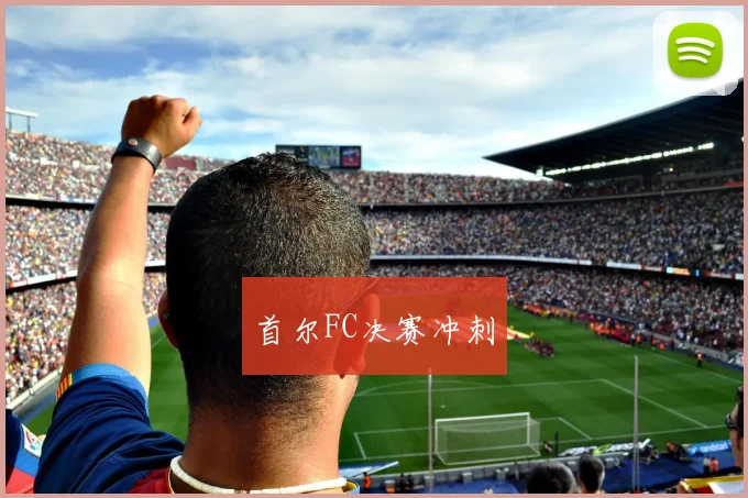 首尔FC决赛冲刺