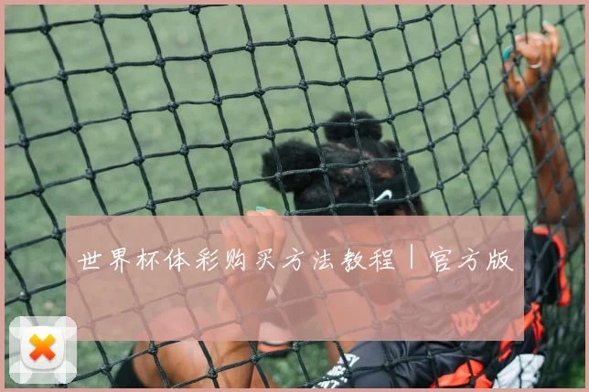 世界杯体彩购买方法教程｜官方版