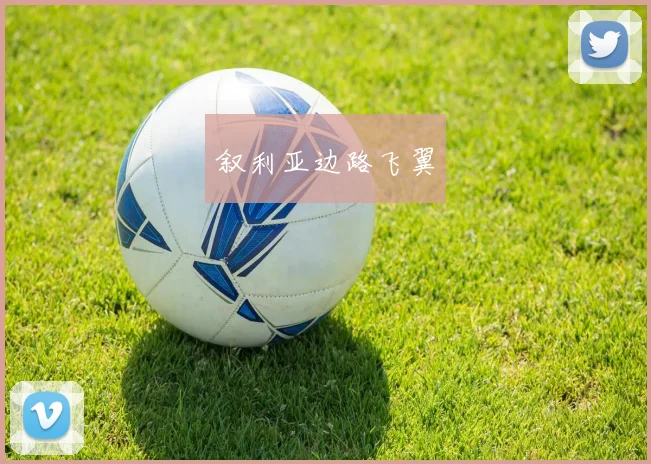 叙利亚边路飞翼