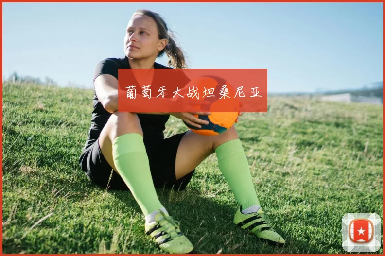 葡萄牙大战坦桑尼亚