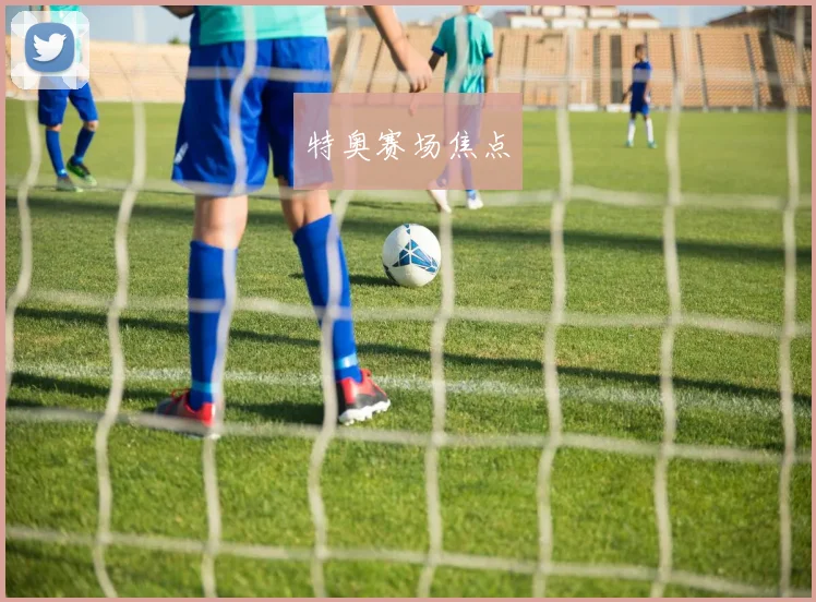 特奥赛场焦点