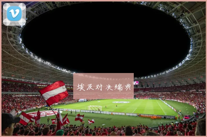 埃及对决瑞典