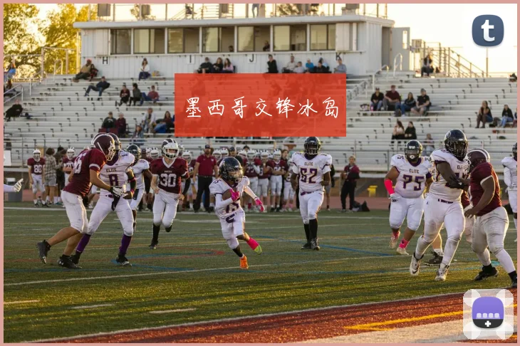 墨西哥交锋冰岛