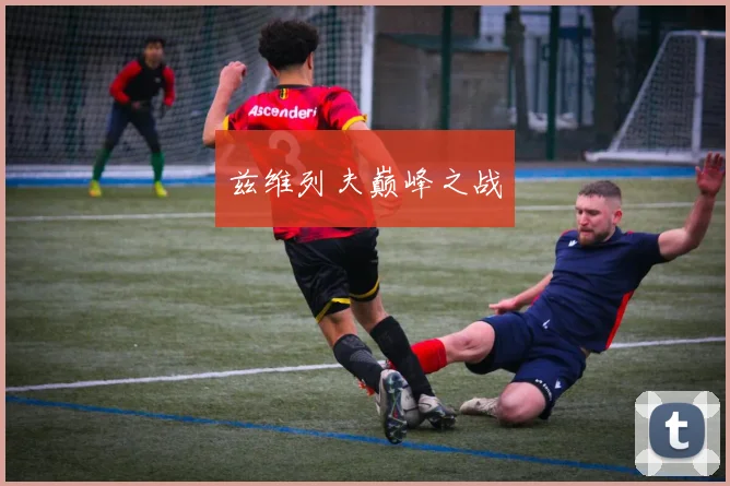 兹维列夫巅峰之战
