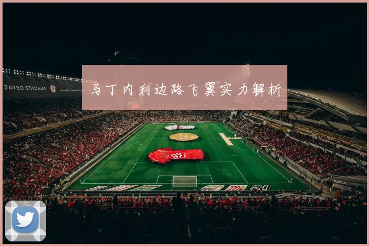 马丁内利边路飞翼实力解析