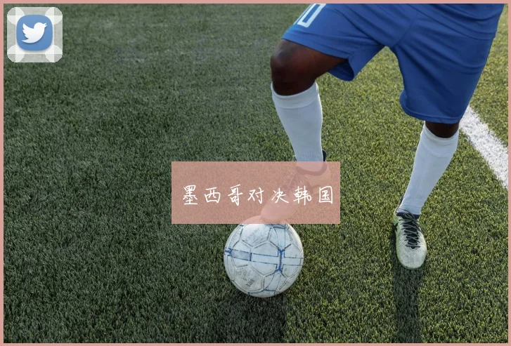 墨西哥对决韩国