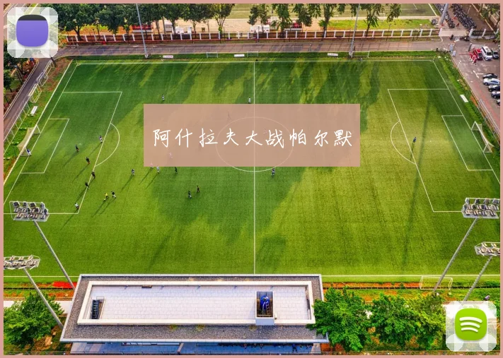 阿什拉夫大战帕尔默