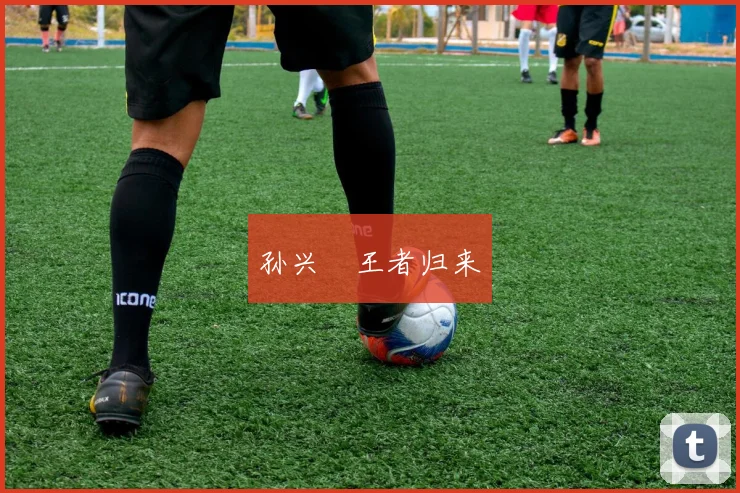 孙兴慜王者归来