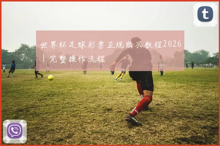 世界杯足球彩票正规购买教程2026｜完整操作流程