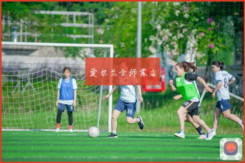 爱尔兰会师蒙古