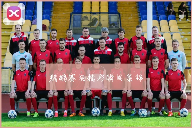 鹈鹕赛场精彩瞬间集锦