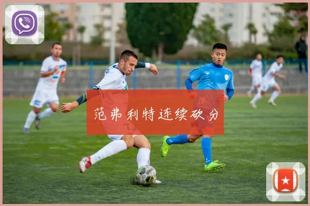 范弗利特连续砍分