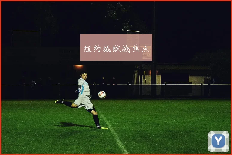 纽约城欧战焦点
