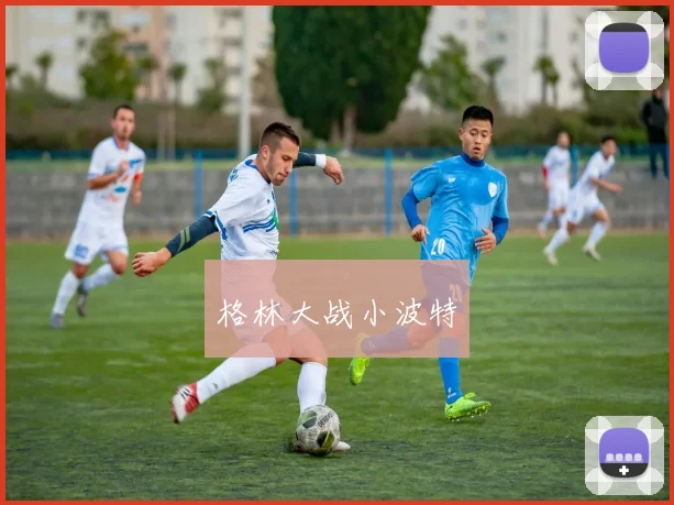 格林大战小波特