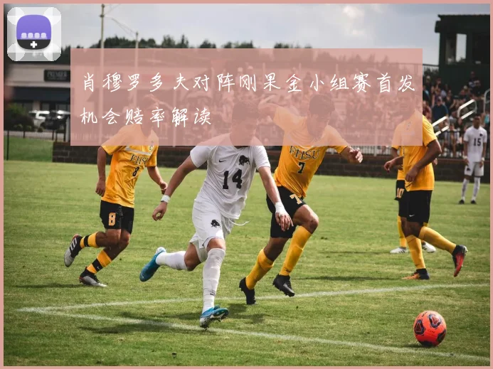 肖穆罗多夫对阵刚果金小组赛首发机会赔率解读