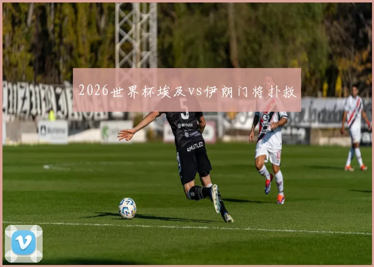 2026世界杯埃及vs伊朗门将扑救